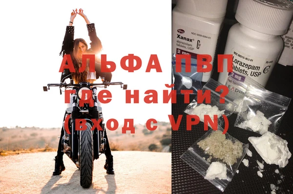 сатива Арсеньев