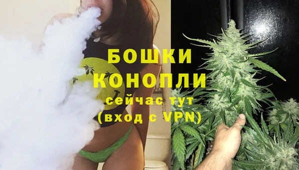 сатива Арсеньев